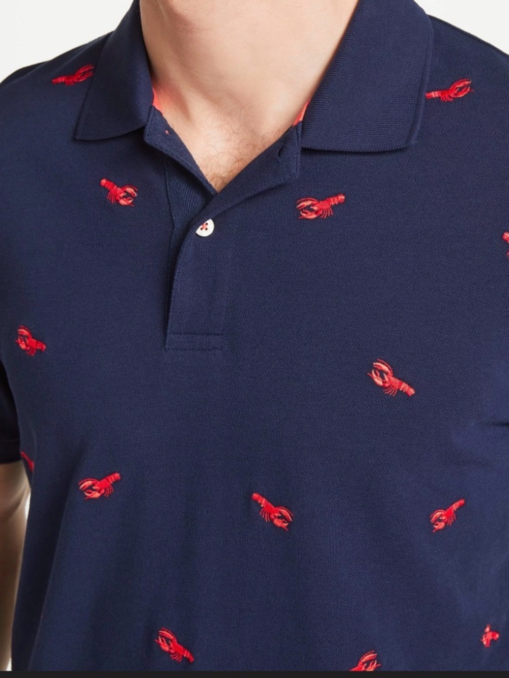 Tommy Hilfiger Dark Blue Polo with Red Embroidery